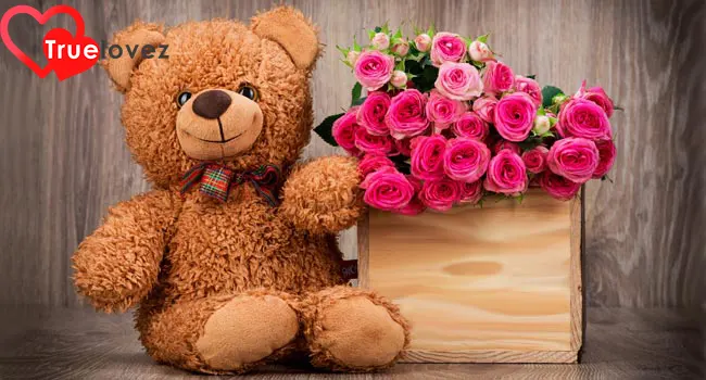 How to Celebrate Teddy Day