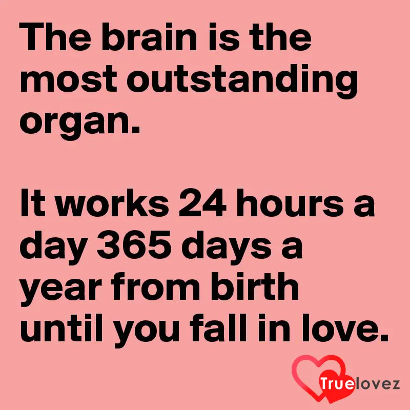 The brain is the most outstanding organ