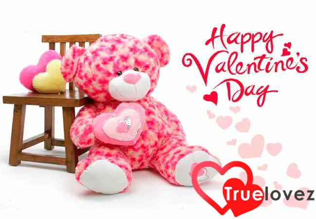 Valentine day Teddy greeting cards