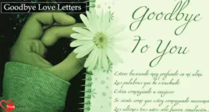 Goodbye Love Letters