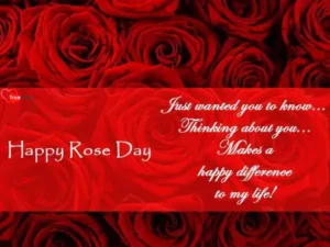 Rose Day Cards