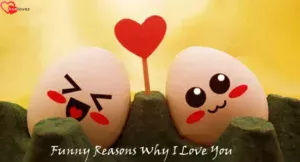 Funny Reasons Why I Love You