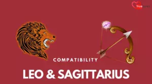 Leo And Sagittarius Compatibility