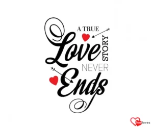 My Love Quotes